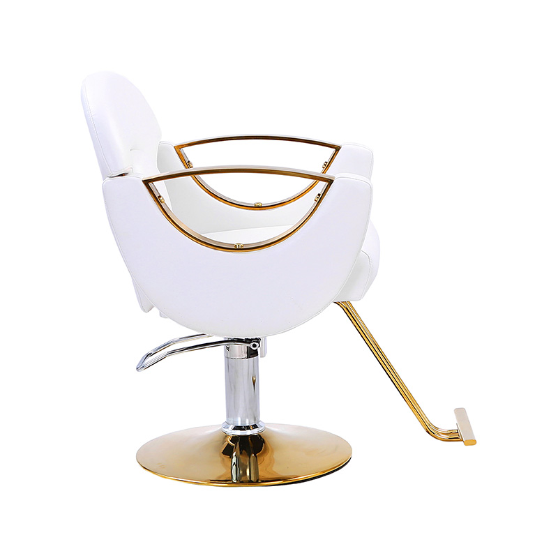 HZ8765BZ / HZ8765WZ / HZ8765PZ / HZ8765Z chaise de salon de coiffure légère