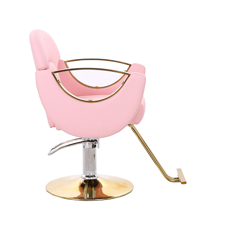 HZ8765BZ / HZ8765WZ / HZ8765PZ / HZ8765Z chaise de salon de coiffure légère