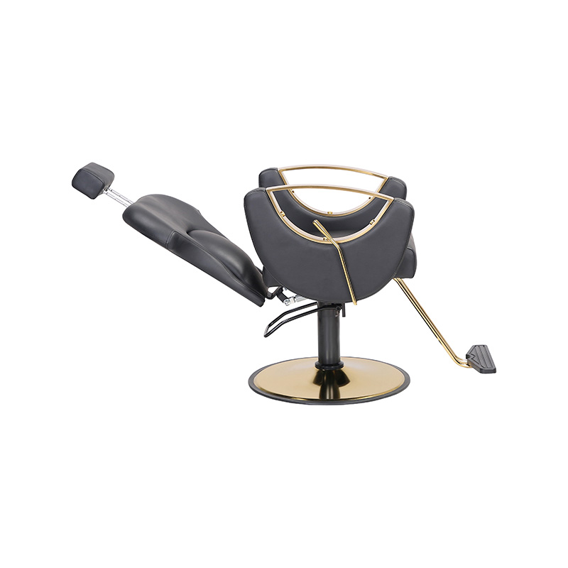 HZ8765BK / HZ8765H / HZ8765WG / HZ8765PK / HZ8765 chaise de Salon chaise de barbier inclinable