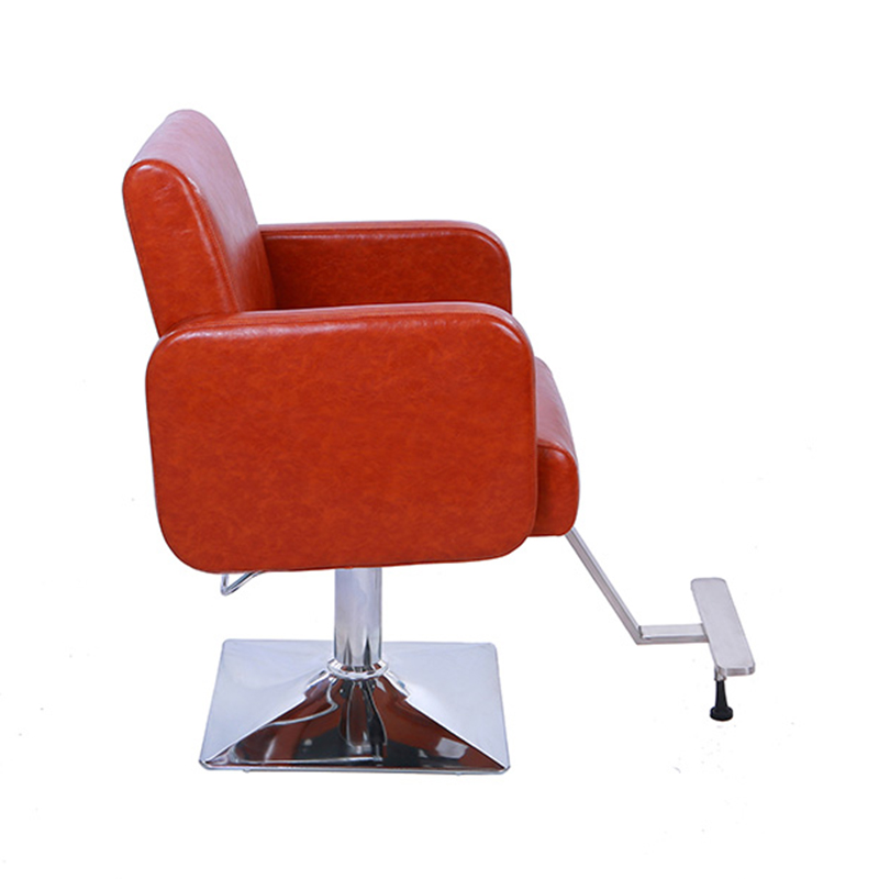 HZ88127 Fauteuils de salon marron épais et abordables