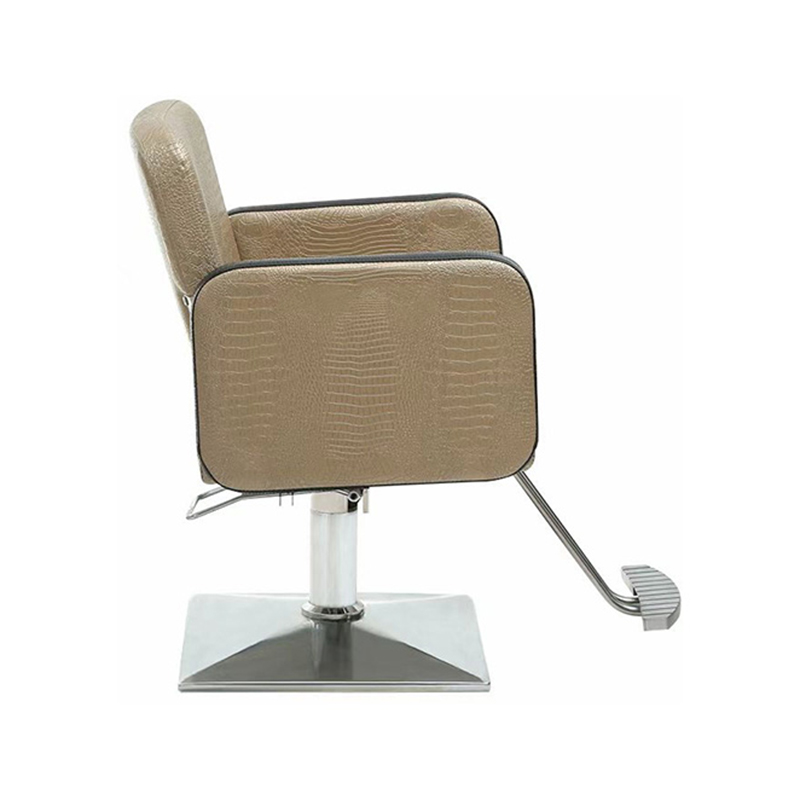 HZ88103 Fauteuil de coiffure professionnel violet