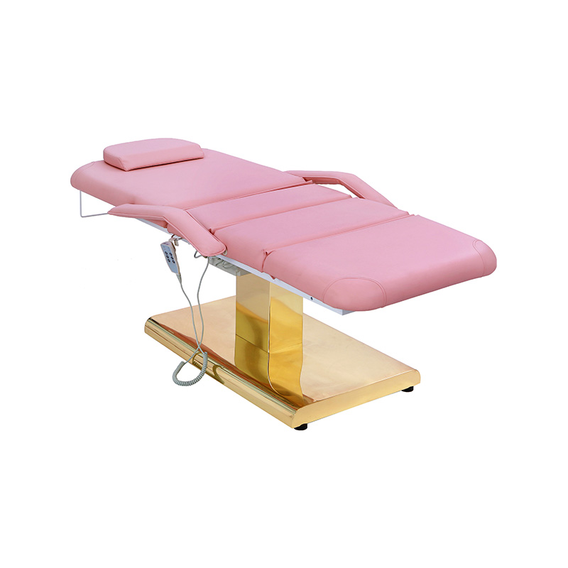 Table de massage professionnelle, lit de beauté électrique réglable HZ011/HZ012