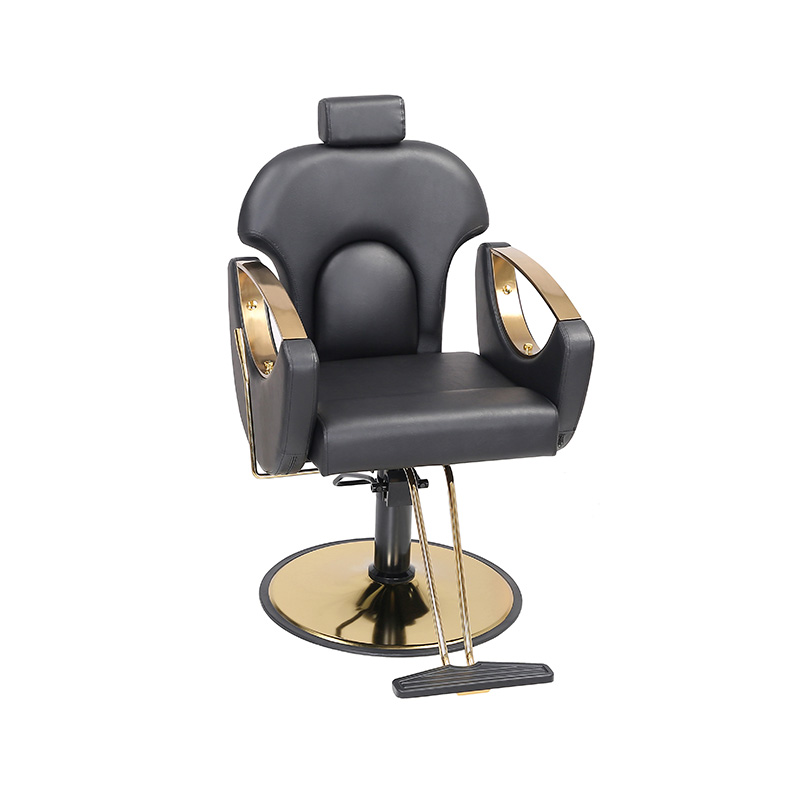HZ8765BK / HZ8765H / HZ8765WG / HZ8765PK / HZ8765 chaise de Salon chaise de barbier inclinable