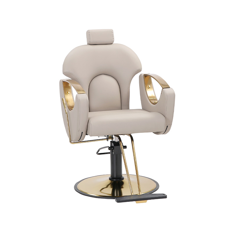 HZ8765BK / HZ8765H / HZ8765WG / HZ8765PK / HZ8765 chaise de Salon chaise de barbier inclinable