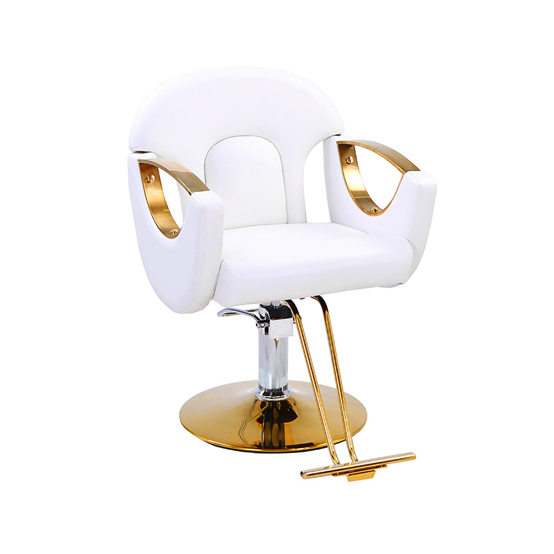 HZ8765BZ / HZ8765WZ / HZ8765PZ / HZ8765Z chaise de salon de coiffure légère