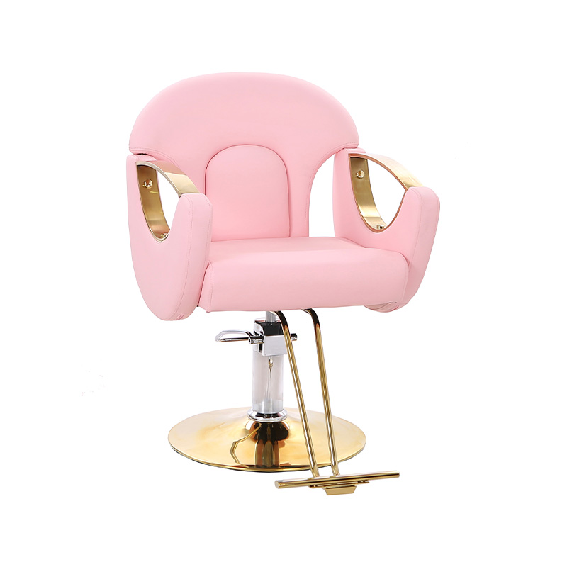 HZ8765BZ / HZ8765WZ / HZ8765PZ / HZ8765Z chaise de salon de coiffure légère