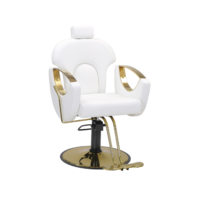 HZ8765BK / HZ8765H / HZ8765WG / HZ8765PK / HZ8765 chaise de Salon chaise de barbier inclinable