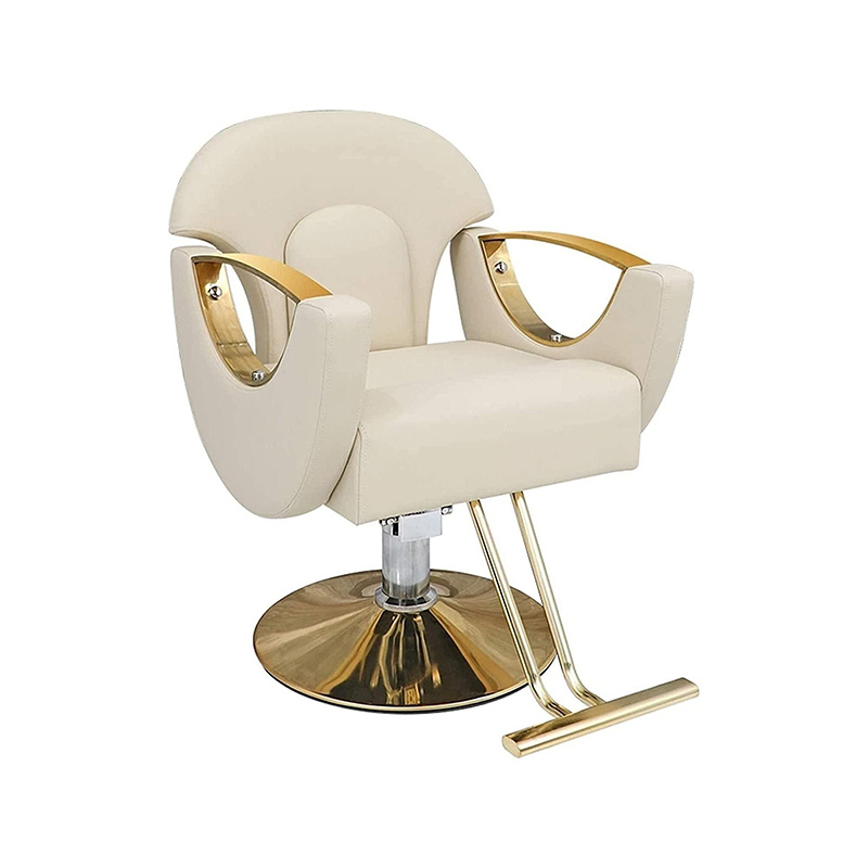 HZ8765BZ / HZ8765WZ / HZ8765PZ / HZ8765Z chaise de salon de coiffure légère